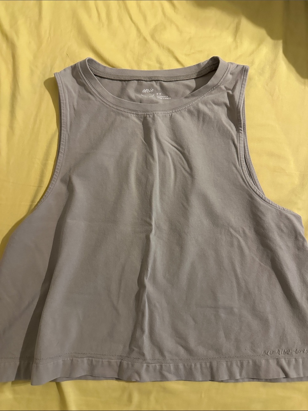 American Eagle Outfitters tan Cropped Tank